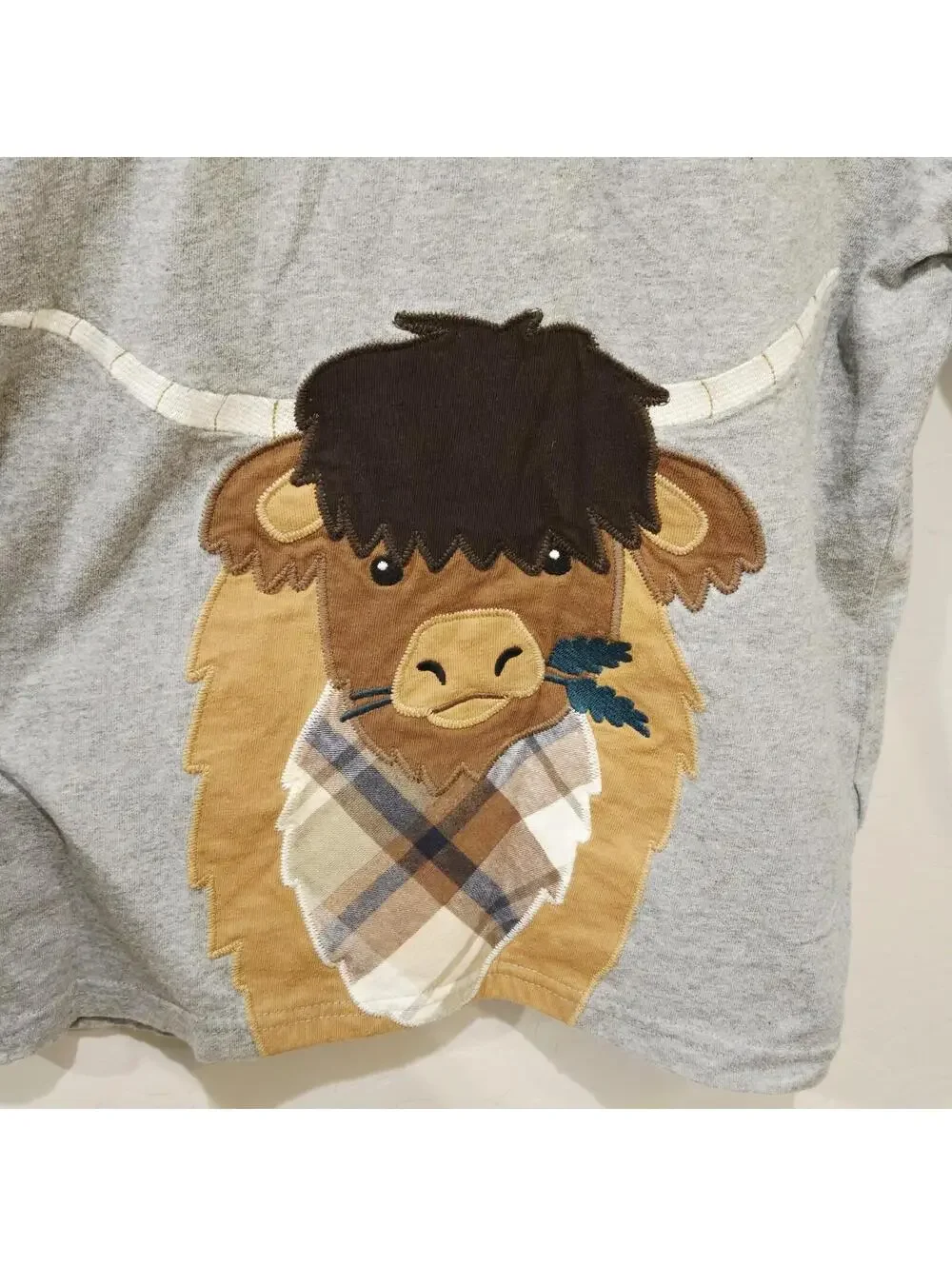 Gymboree Little Rocky Mountain Long Sleeve Highland Cow Boys Size 8 EUC